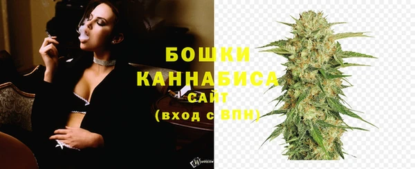 мет Инта