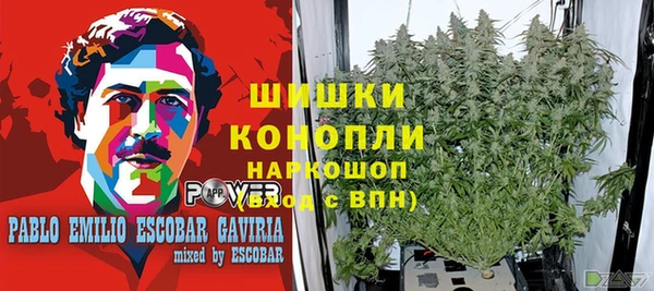 мет Инта