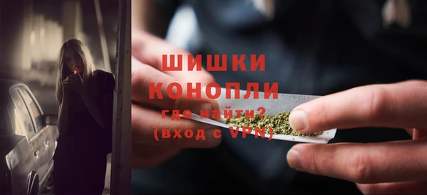 мет Инта