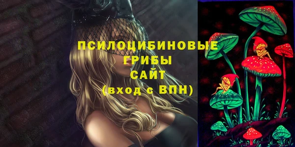 мет Инта