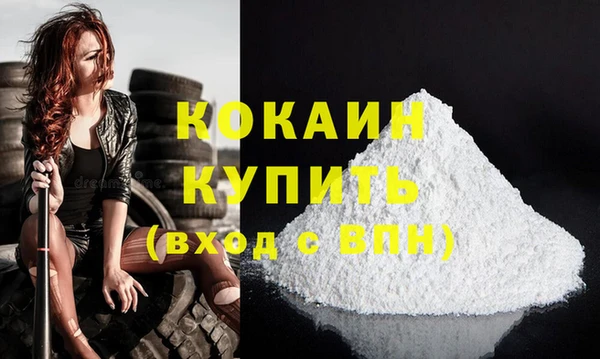мет Инта