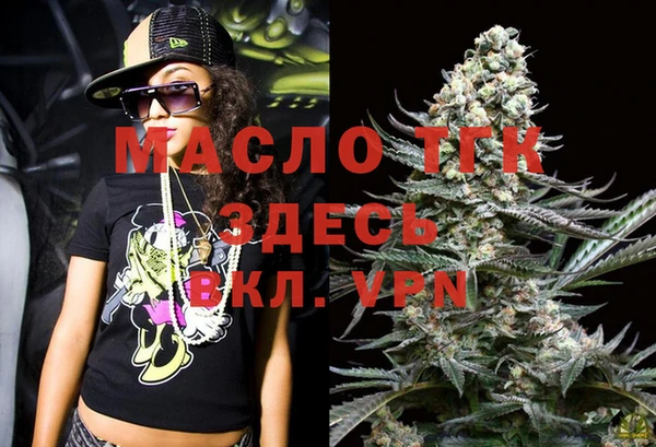 мет Инта