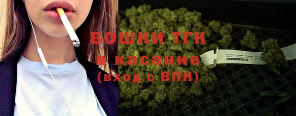 мет Инта